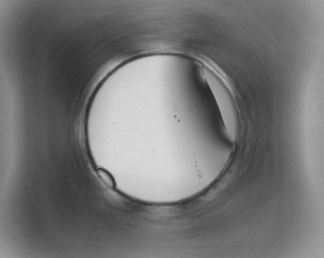 X0000108481293200905011154
