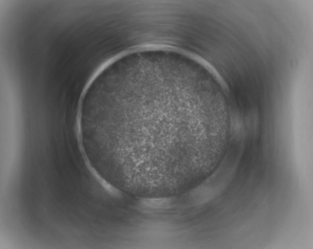 X0000108481294200905011154