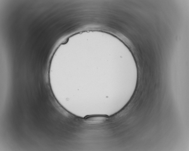 X0000108481296200905011154