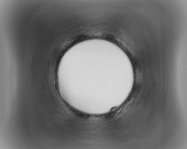 X0000108481297200905011153