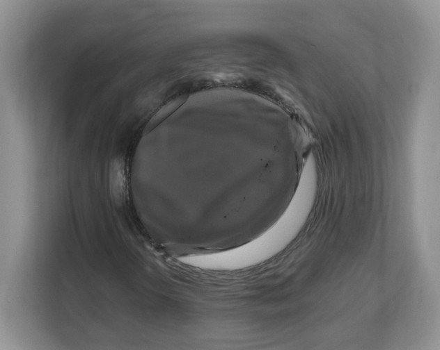 X0000108481298200905011153