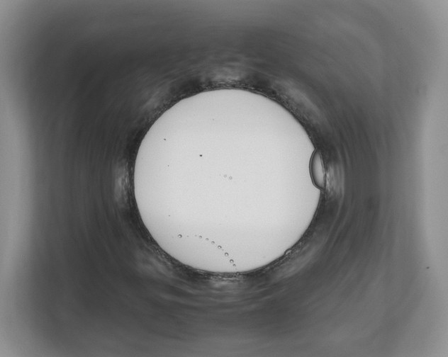 X0000108481299200905011153