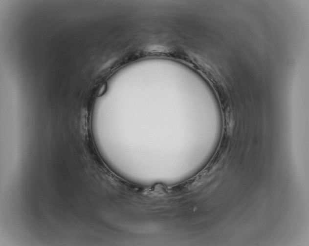 X0000108481301200905011153