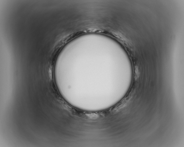X0000108481302200905011153