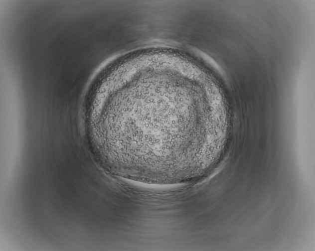 X0000108481310200905011153