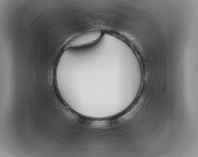 X0000108481313200905011154