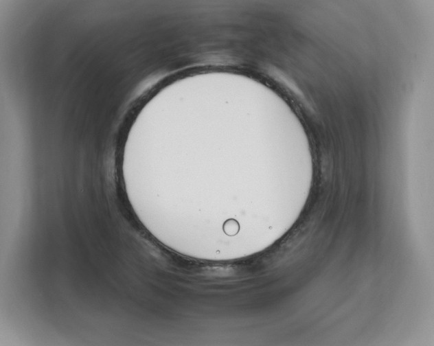 X0000108481315200905011154