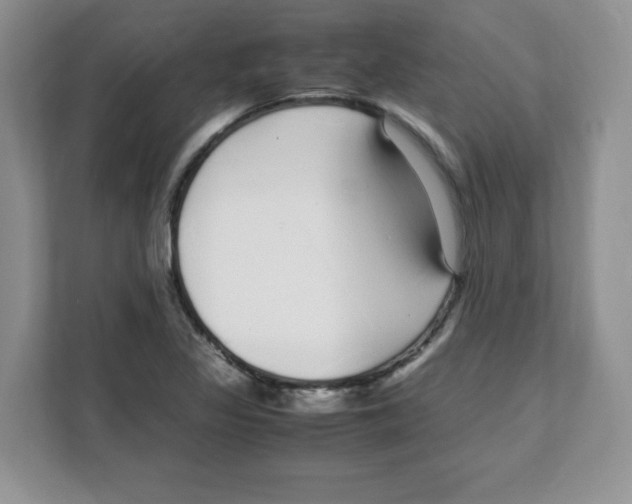 X0000108481317200905011154