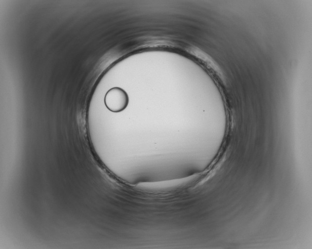 X0000108481321200905011154