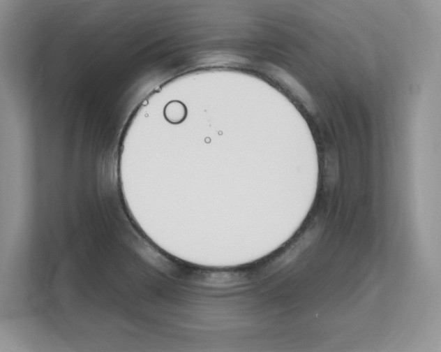 X0000108481322200905011154