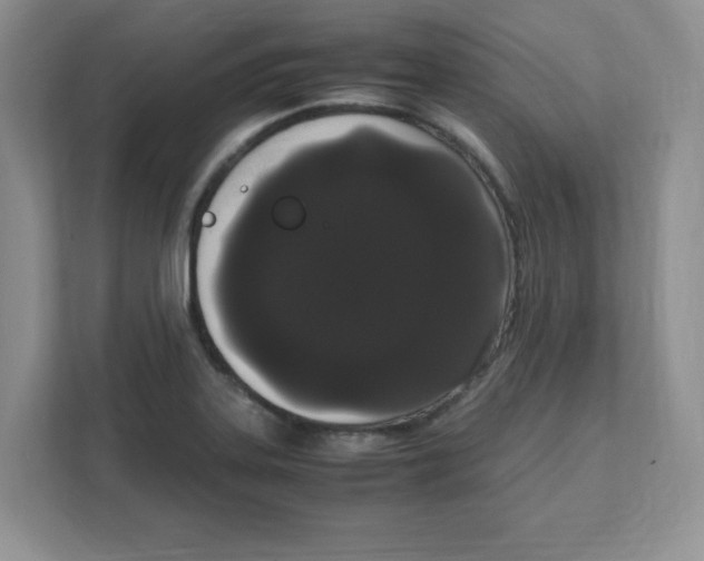 X0000108481323200905011154