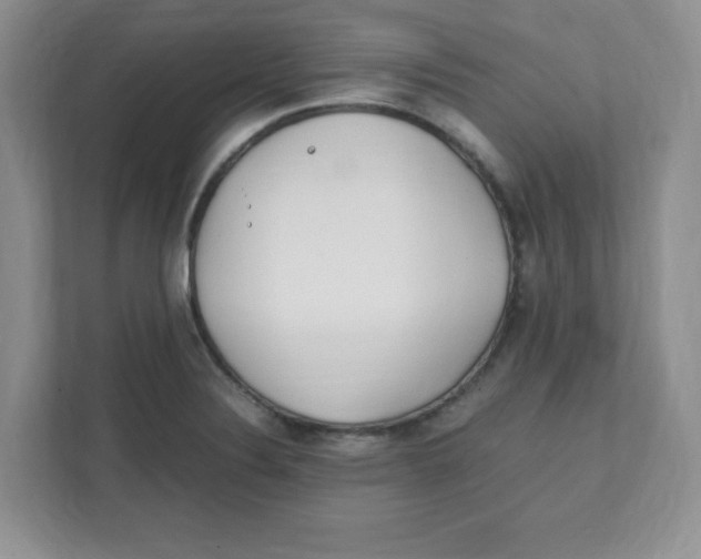 X0000108481324200905011154