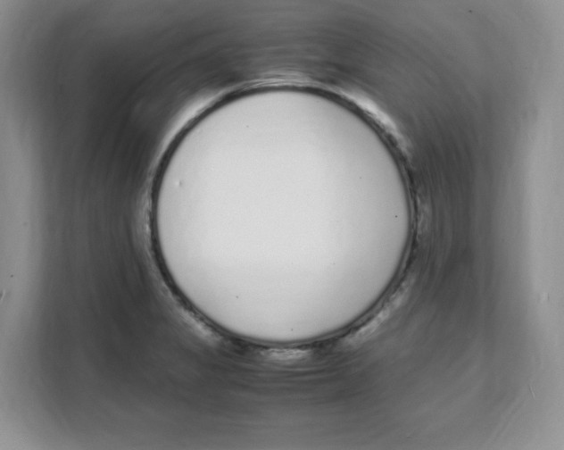 X0000108481325200905011154