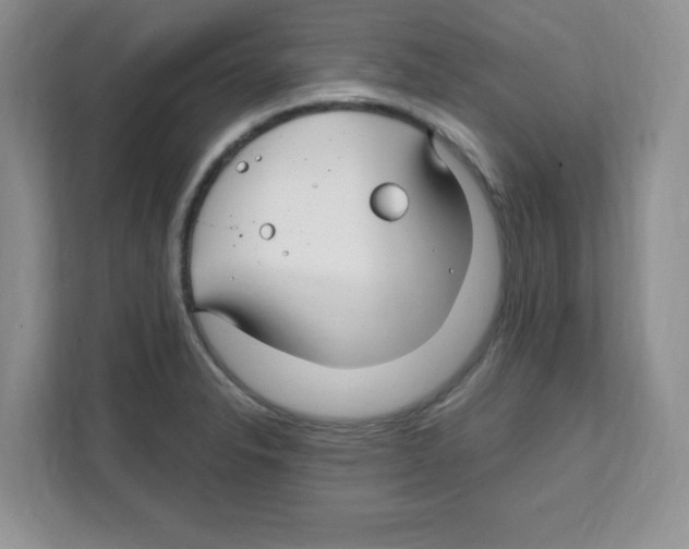 X0000108481326200905011154