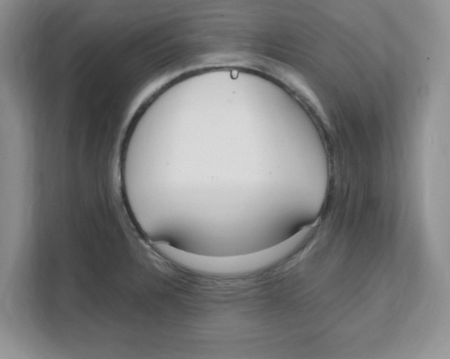 X0000108481328200905011154