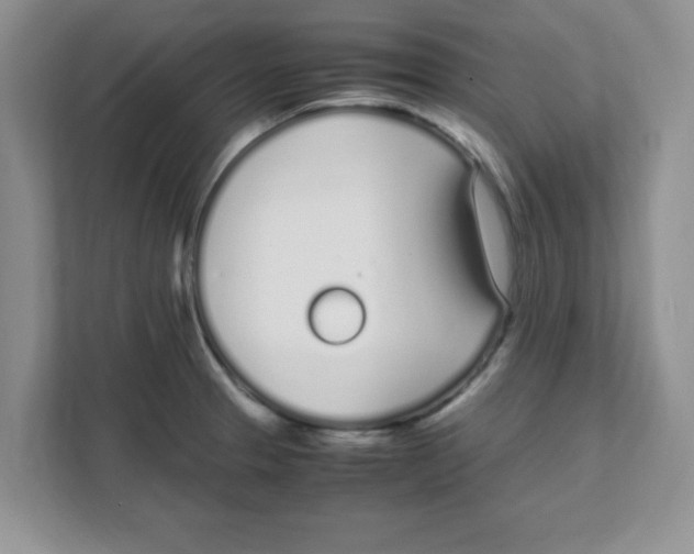 X0000108481329200905011154