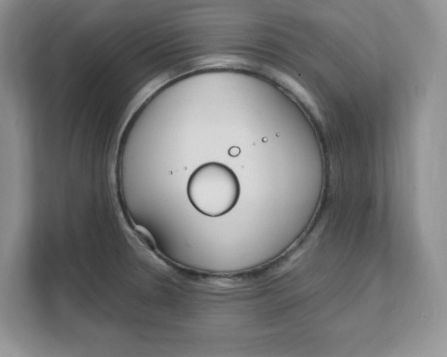 X0000108481330200905011154