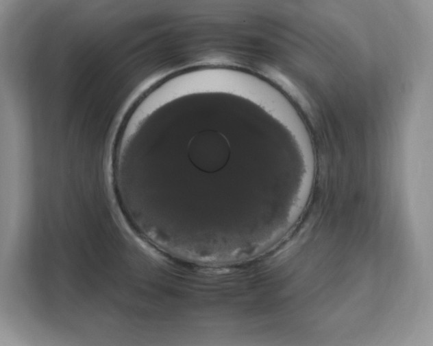 X0000108481331200905011154