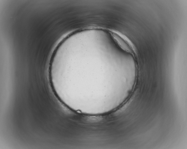 X0000108481333200905011154