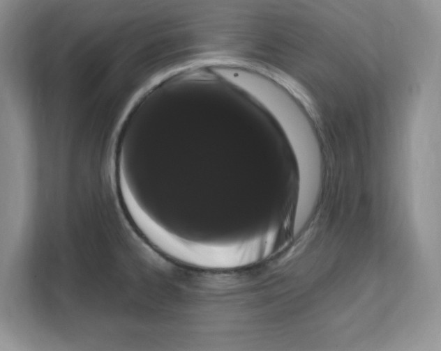 X0000108481334200905011154