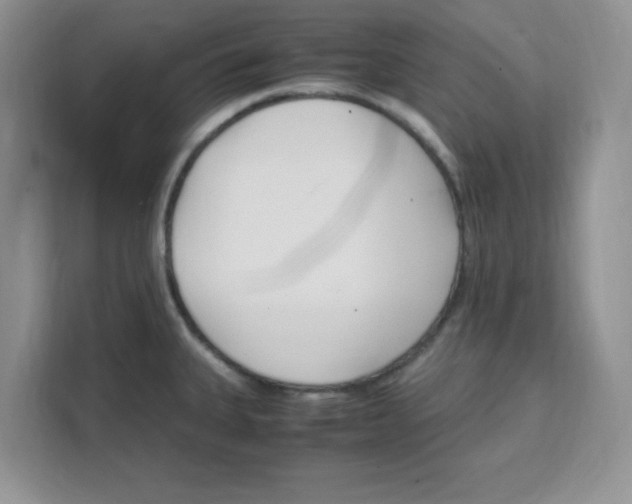 X0000108481335200905011154