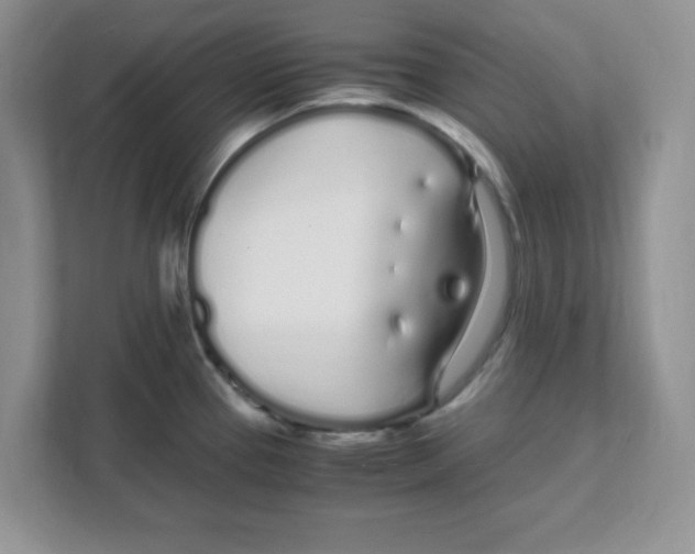 X0000108481337200905011154
