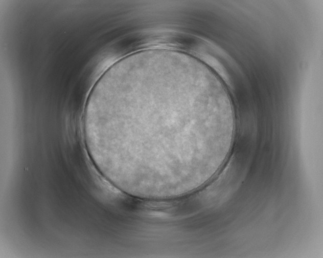 X0000108481338200905011154