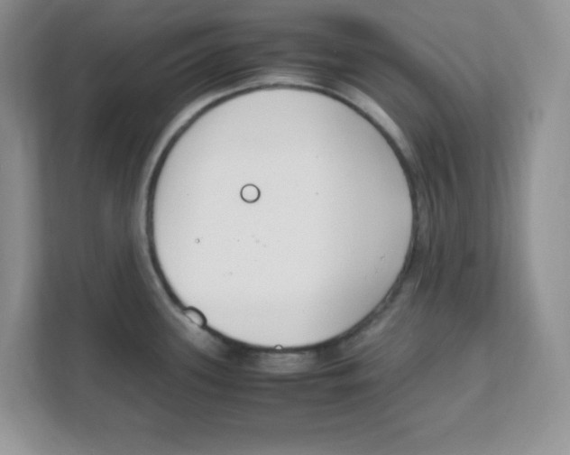X0000108481339200905011154
