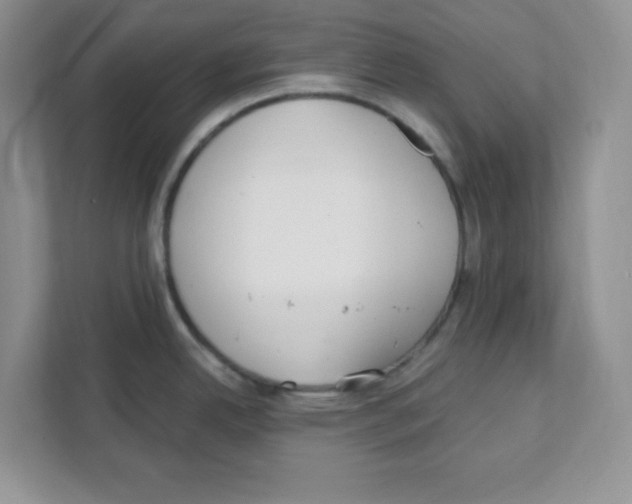 X0000108481342200905011154
