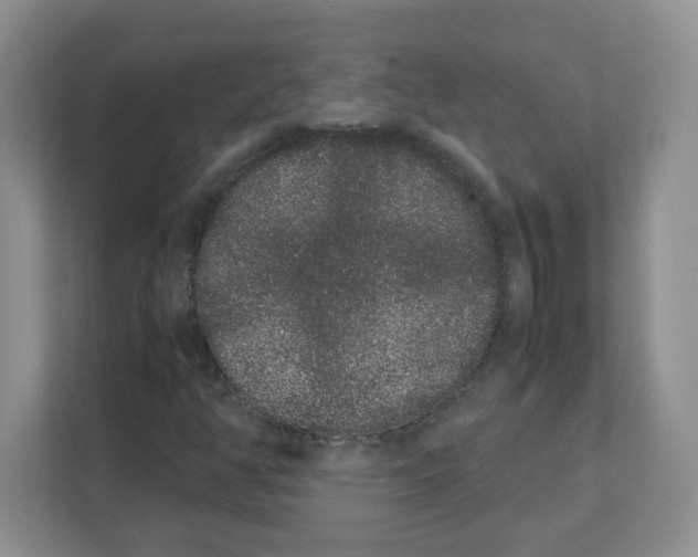 X0000108481350200905011153
