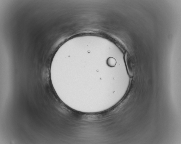 X0000108481355200905011153
