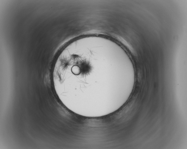 X0000108481356200905011153