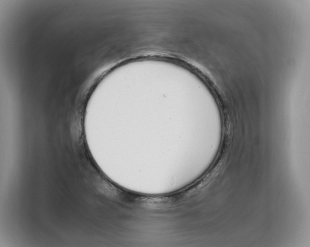 X0000108481359200905011153