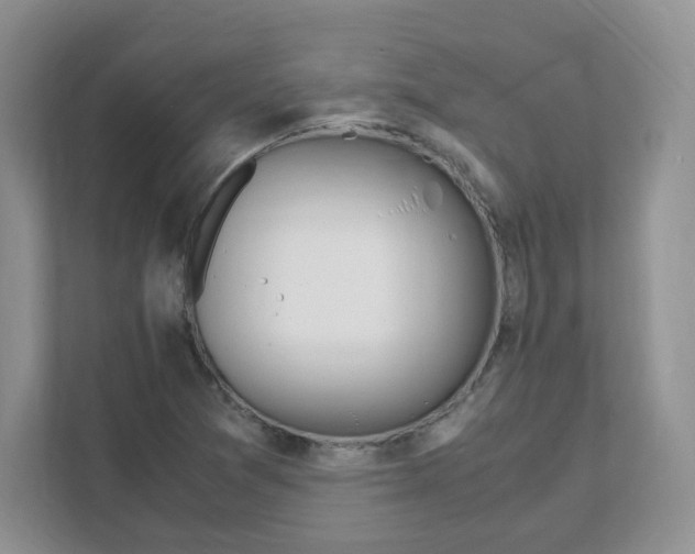 X0000108481361200905011153