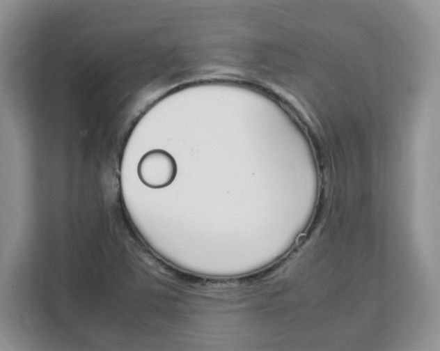 X0000108481363200905011153