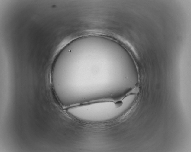 X0000108481365200905011153