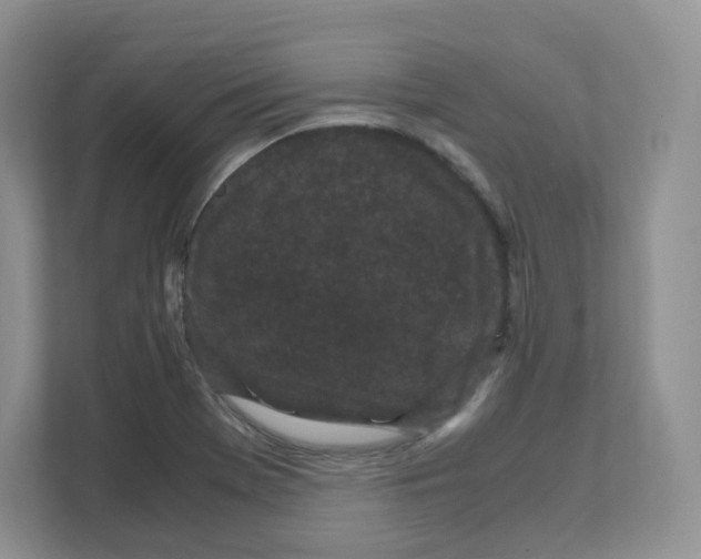 X0000108481369200905011153