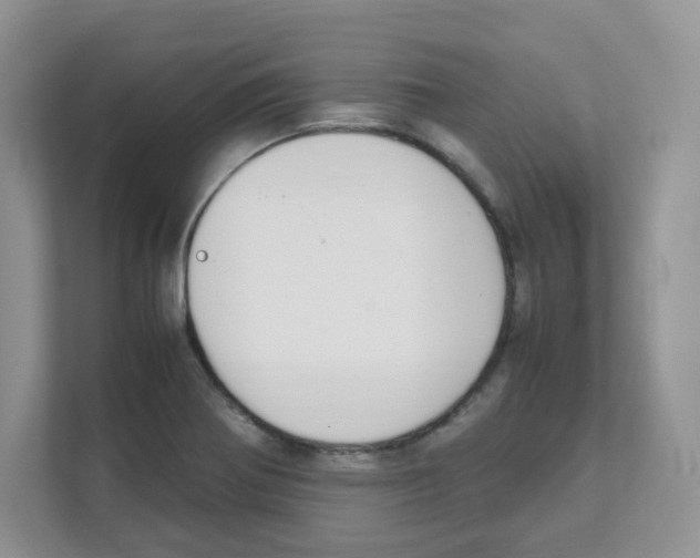 X0000108481370200905011153