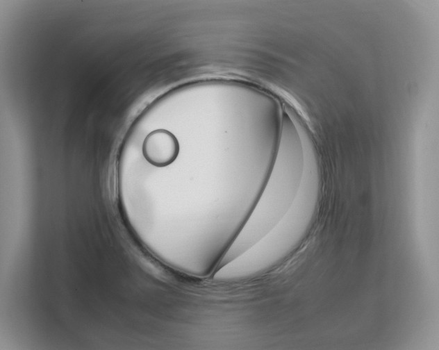 X0000108481371200905011153