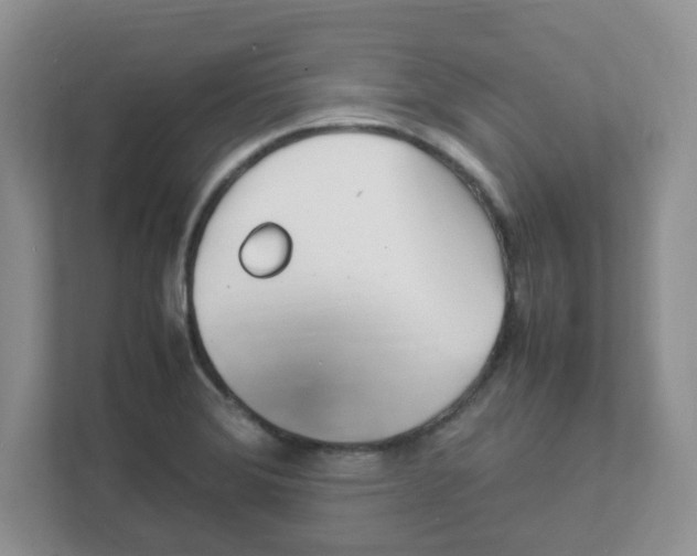 X0000108481372200905011153