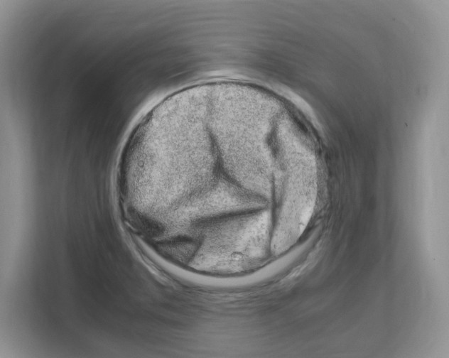 X0000108481373200905011153