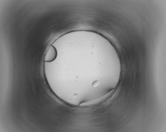 X0000108481374200905011153