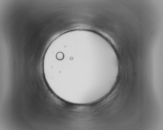 X0000108481375200905011153