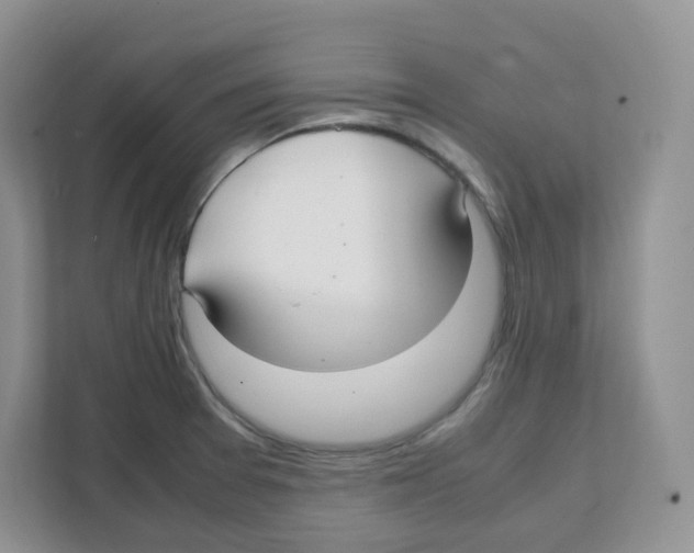 X0000108481377200905011153