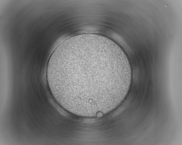 X0000108481378200905011153