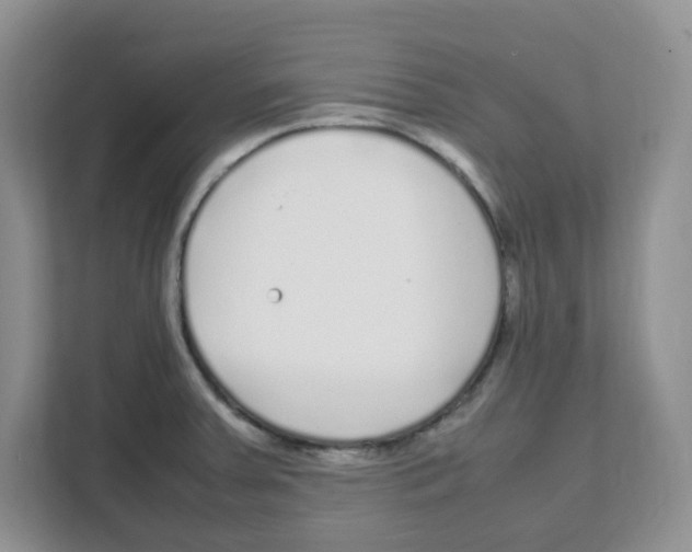 X0000108481379200905011153