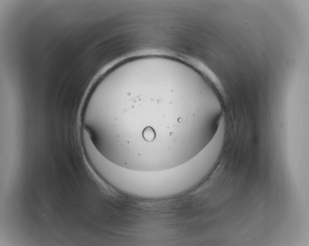 X0000108481380200905011153