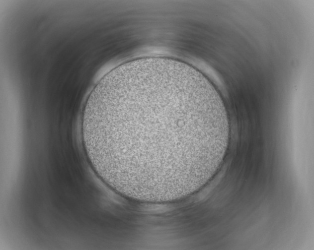 X0000108481382200905011153