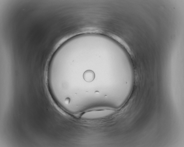 X0000108481383200905011153