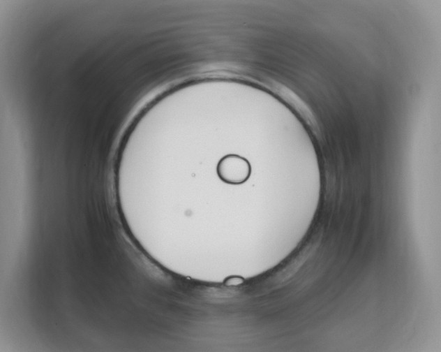 X0000108481384200905011153